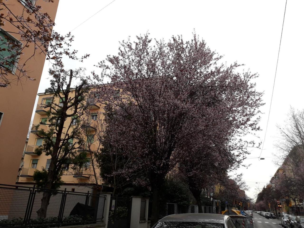 Sant'Orsola Bologna Appartamento Exteriör bild